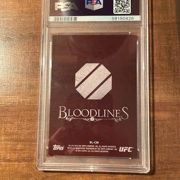 galleryimage 2 zoomed in