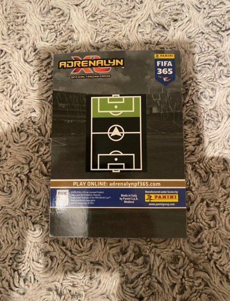 galleryimage 2 zoomed in