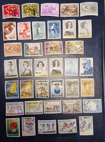 galleryimage 2