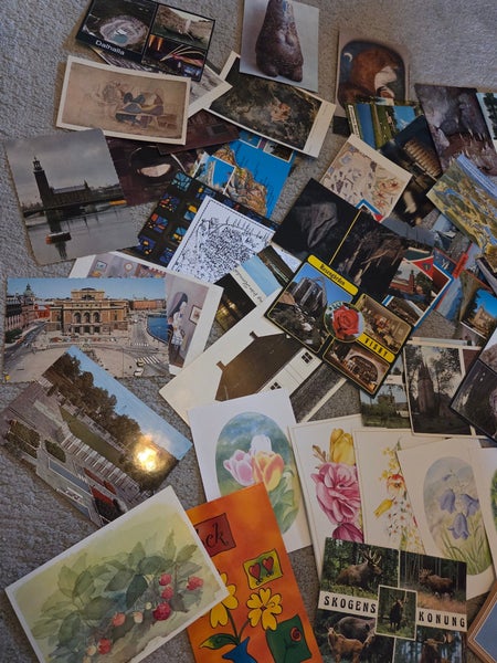 galleryimage 3