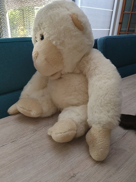 galleryimage 2 zoomed in