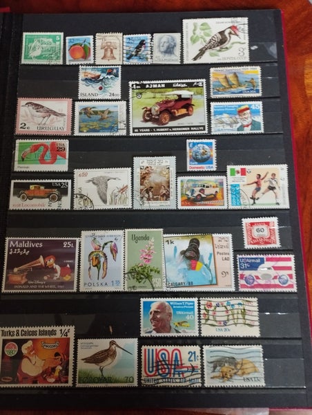 galleryimage 2
