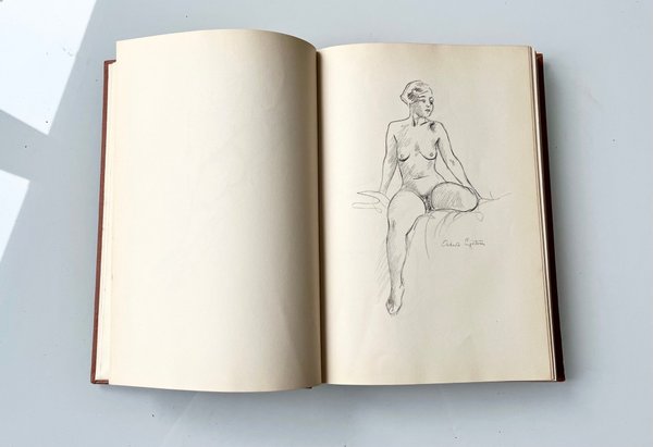 galleryimage 2