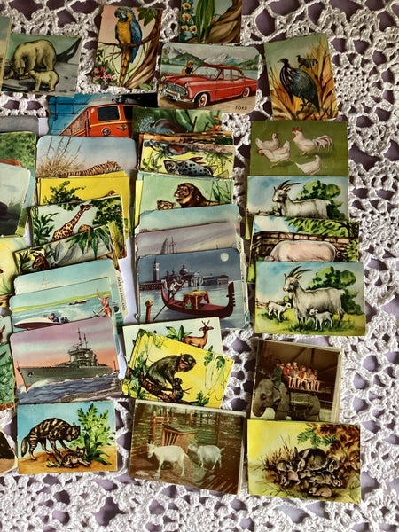 galleryimage 3