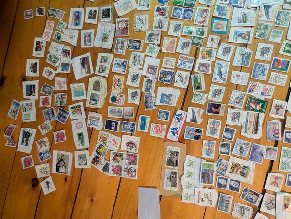 galleryimage 2