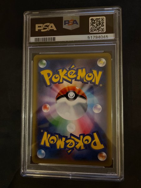 galleryimage 2 zoomed in