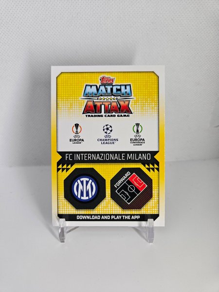 galleryimage 2 zoomed in