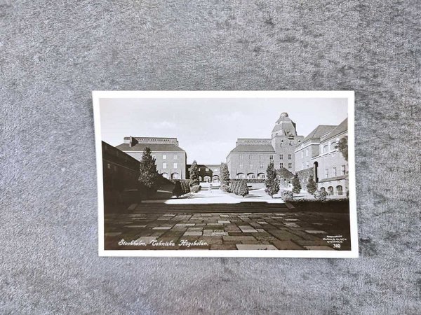 galleryimage 2