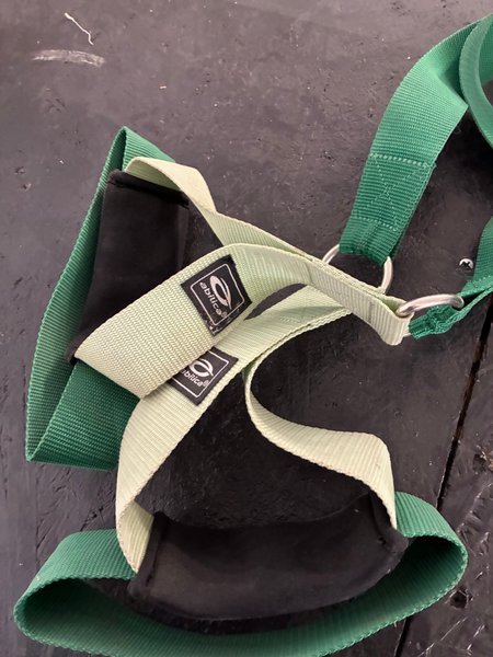 galleryimage 2 zoomed in