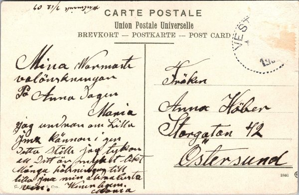 galleryimage 2 zoomed in