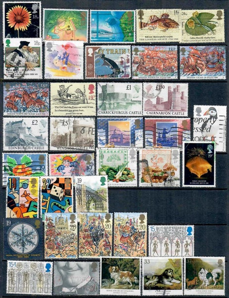 galleryimage 3