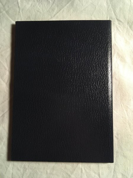 galleryimage 2 zoomed in