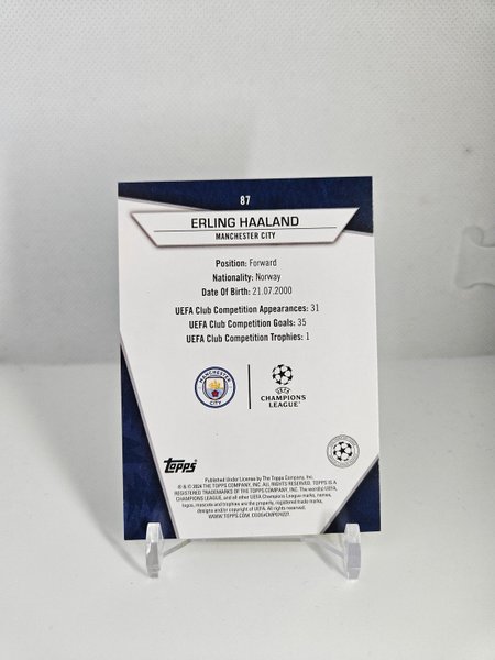 galleryimage 2 zoomed in