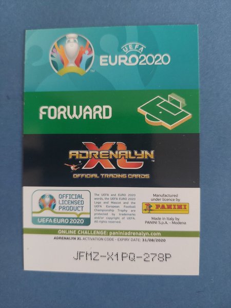 galleryimage 2 zoomed in