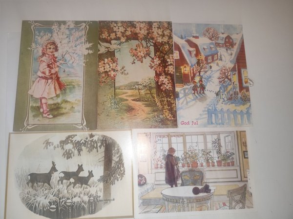 galleryimage 2