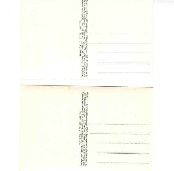 galleryimage 2 zoomed in