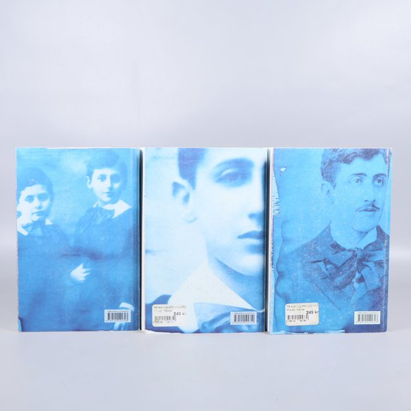 galleryimage 3
