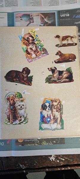 galleryimage 3