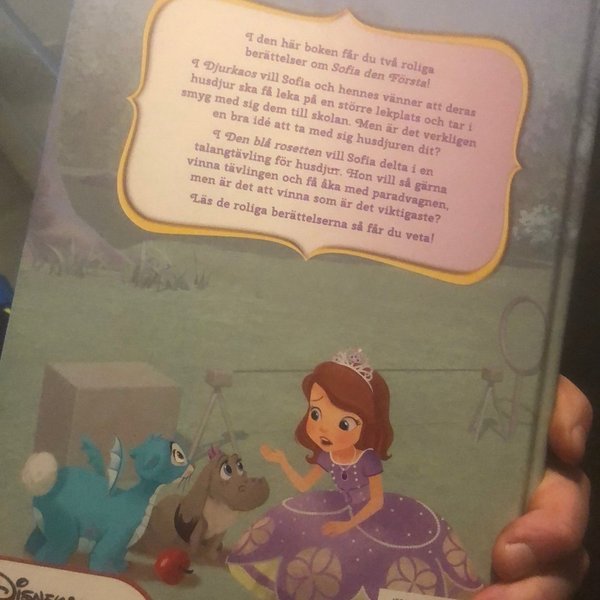 galleryimage 2 zoomed in