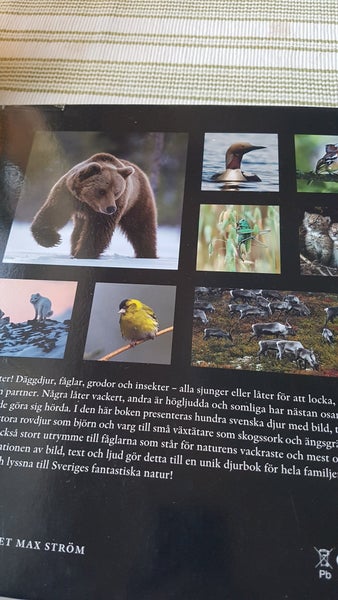 galleryimage 3