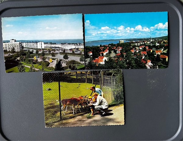 galleryimage 3