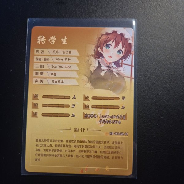 galleryimage 2 zoomed in