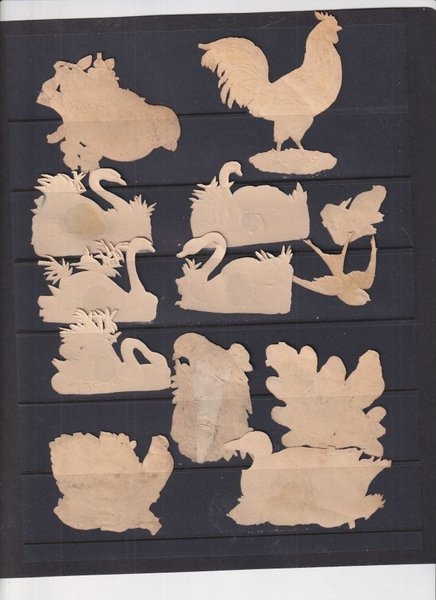 galleryimage 2