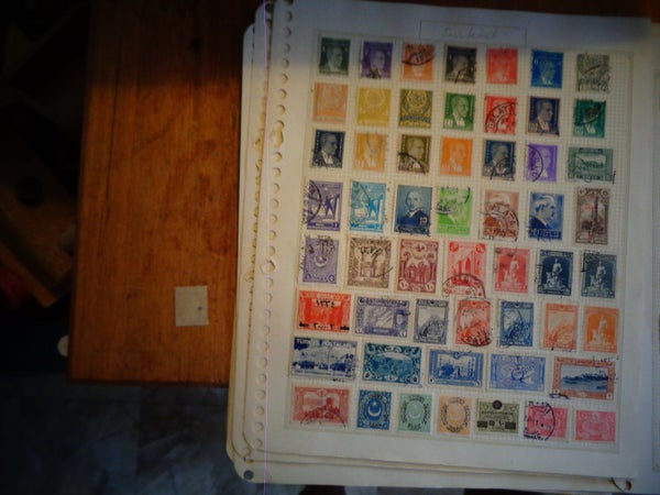 galleryimage 3