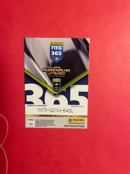 galleryimage 2 zoomed in