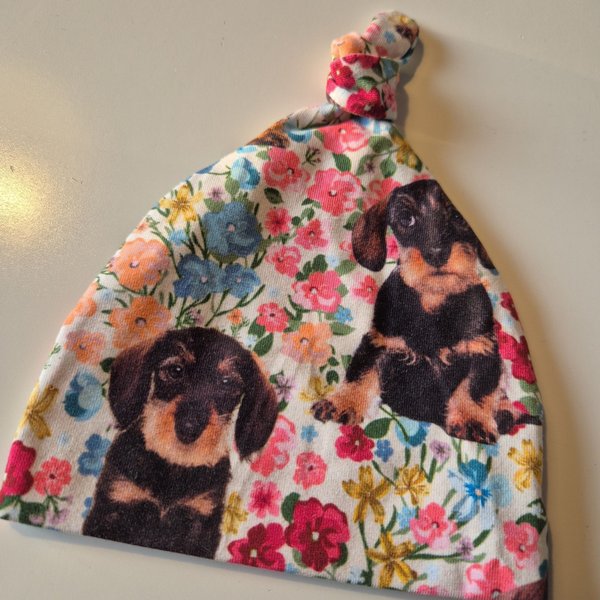 galleryimage 2 zoomed in