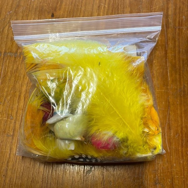 galleryimage 2 zoomed in