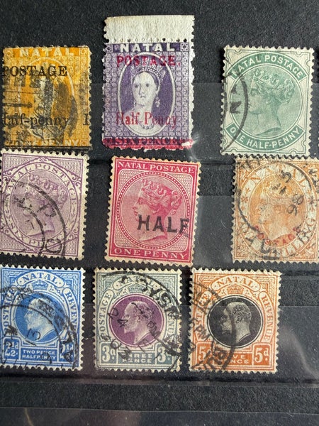 galleryimage 2