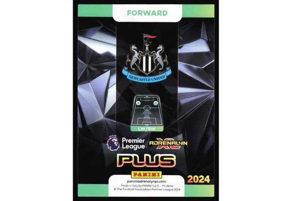 galleryimage 2 zoomed in