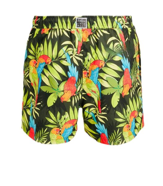 galleryimage 2 zoomed in