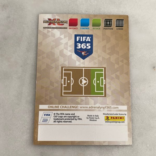 galleryimage 2 zoomed in