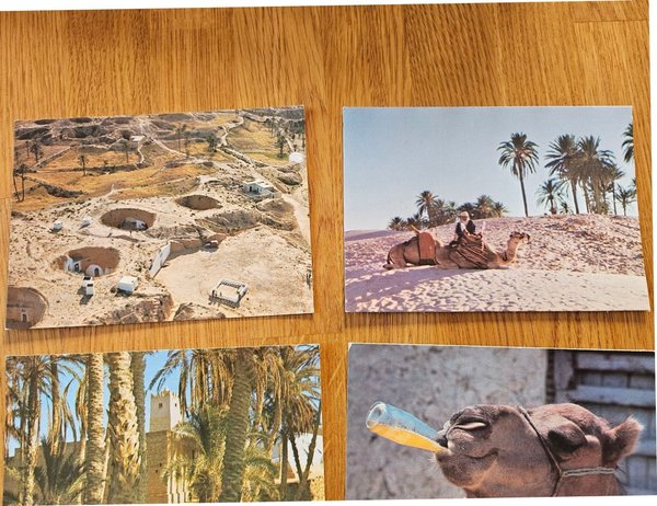 galleryimage 3
