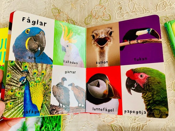 galleryimage 3