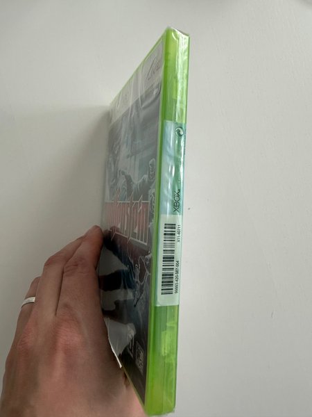 galleryimage 2