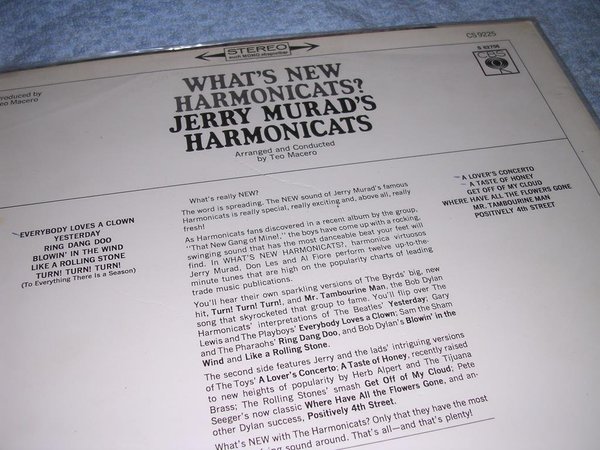 galleryimage 2 zoomed in