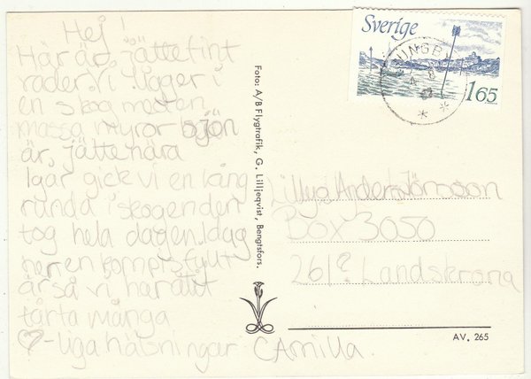 galleryimage 2 zoomed in