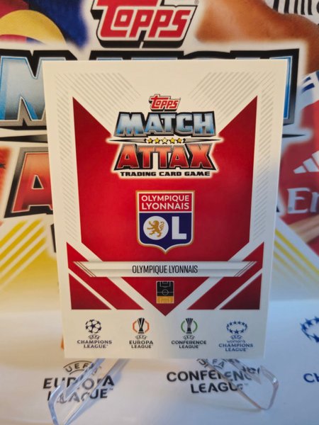 galleryimage 2 zoomed in