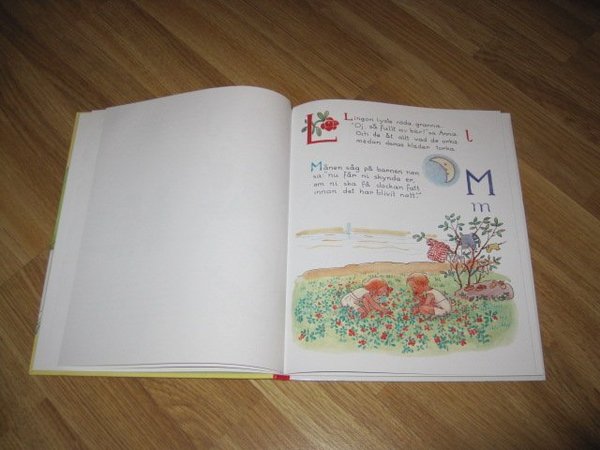 galleryimage 3