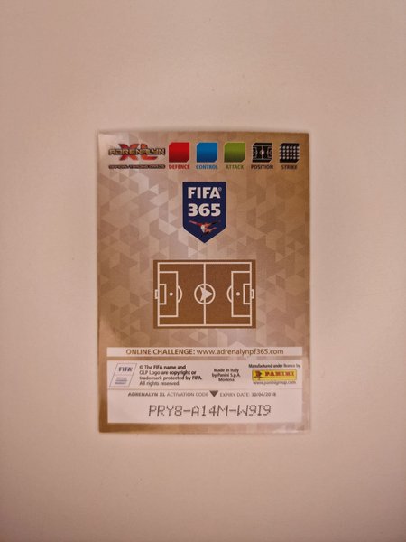 galleryimage 2