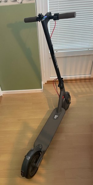 galleryimage 3