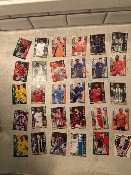 galleryimage 2 zoomed in