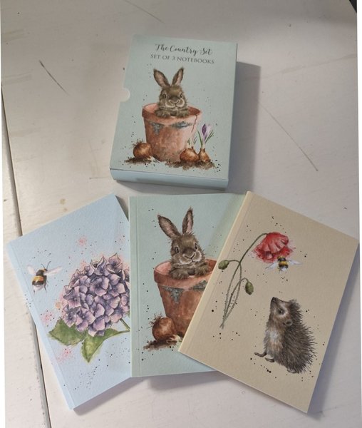 galleryimage 3