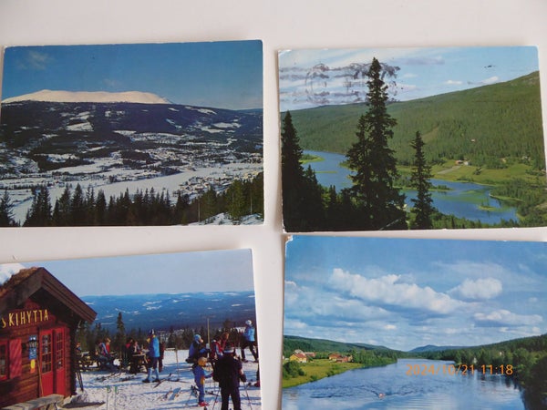 galleryimage 3