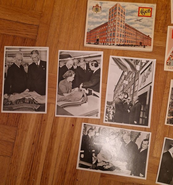 galleryimage 3