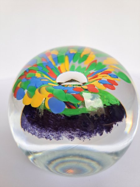 galleryimage 3