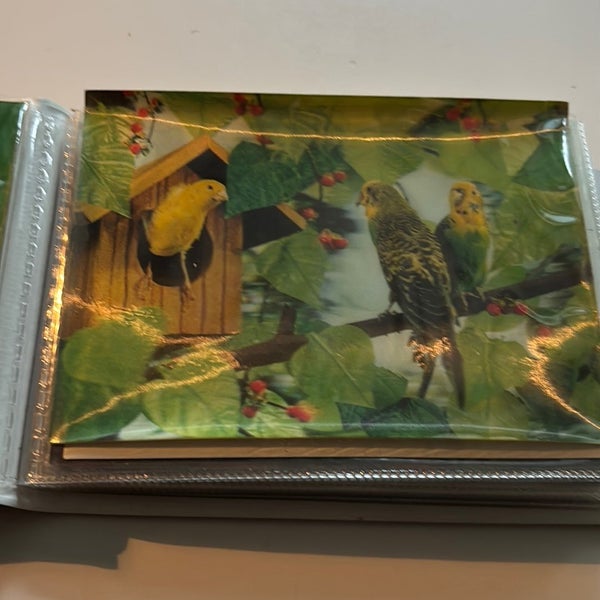 galleryimage 3